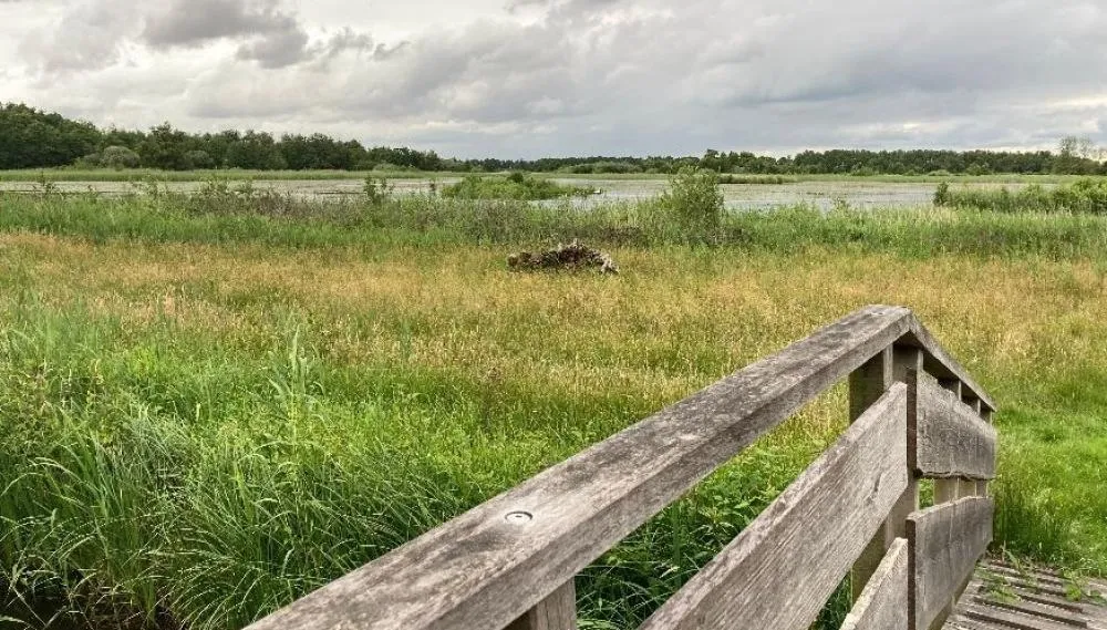 Op stap met Britta: vogels kijken