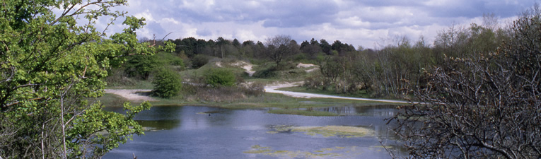 Wandelgebieden in Nederland