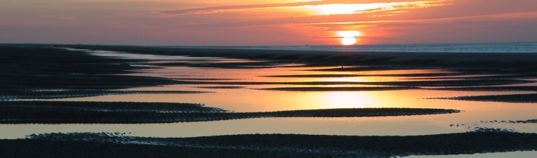 wadlopen