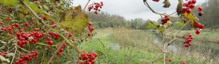 Wandelroutes in Nederland