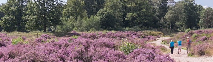 Wandelroutes in Nederland