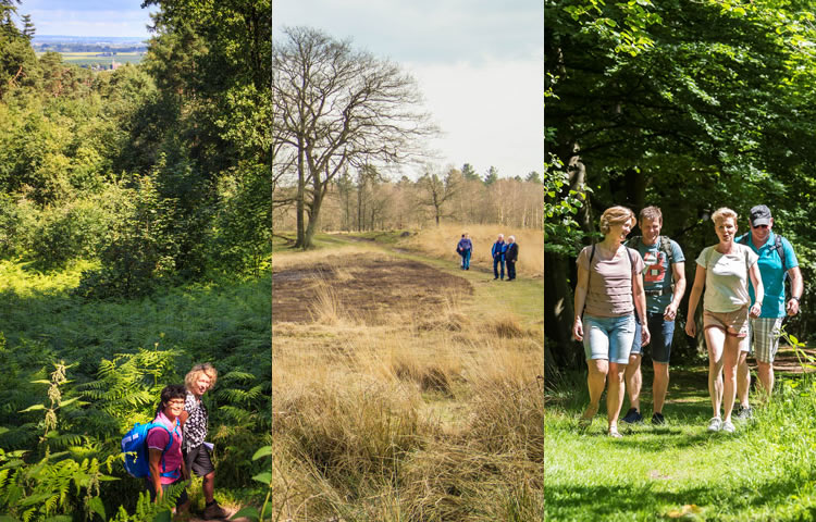  Drie Wandelgemeenten van het jaar
