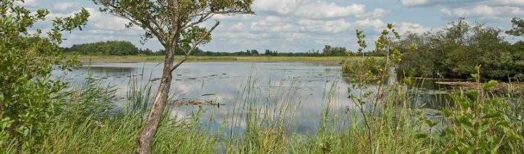 Wandelgebieden in Nederland