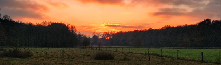 Winterwandelingen