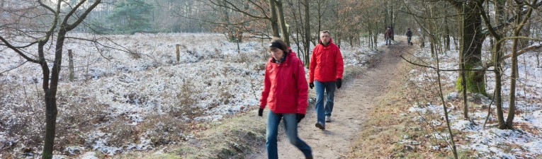 Winterwandelingen
