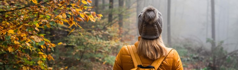 Wist je dat: abonnement Wist je dat: abonnement