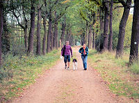 Antwerpse wandeling van het jaar