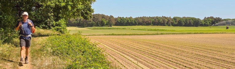 Zomerwandelingen