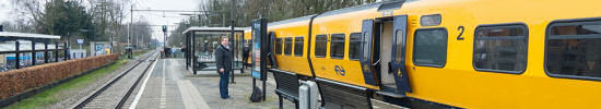 Wandelingen station Borne