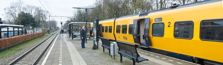 wandelingen station Borne