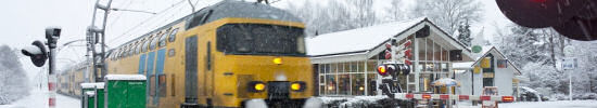 Wandelingen station Hollandsche Rading