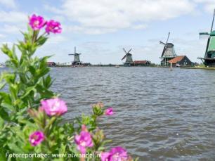 Wandeling zaandam zaanse schans