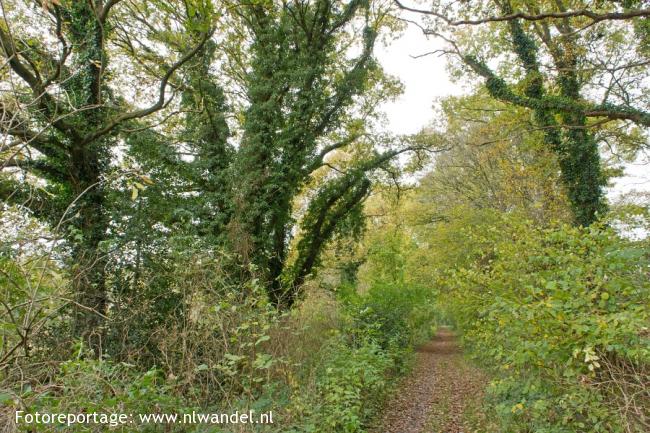 Landgoed Berkenheuvel