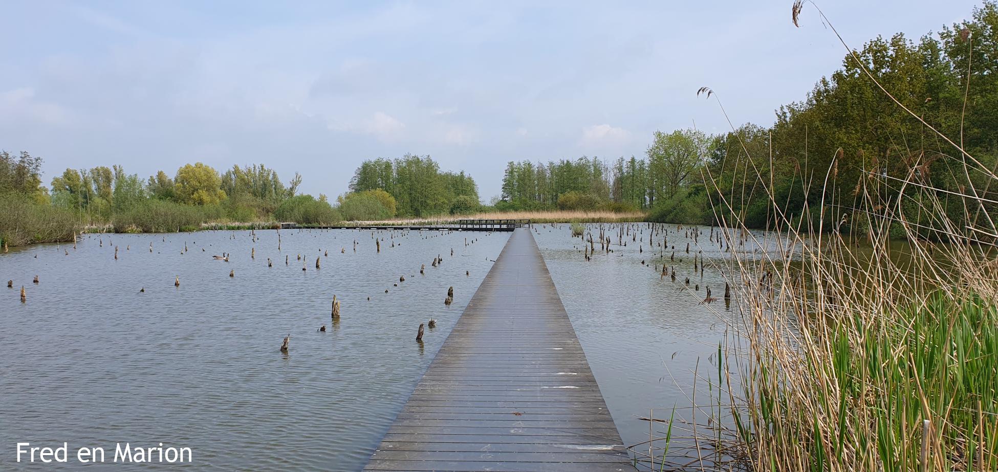 Het Verdronken Bos