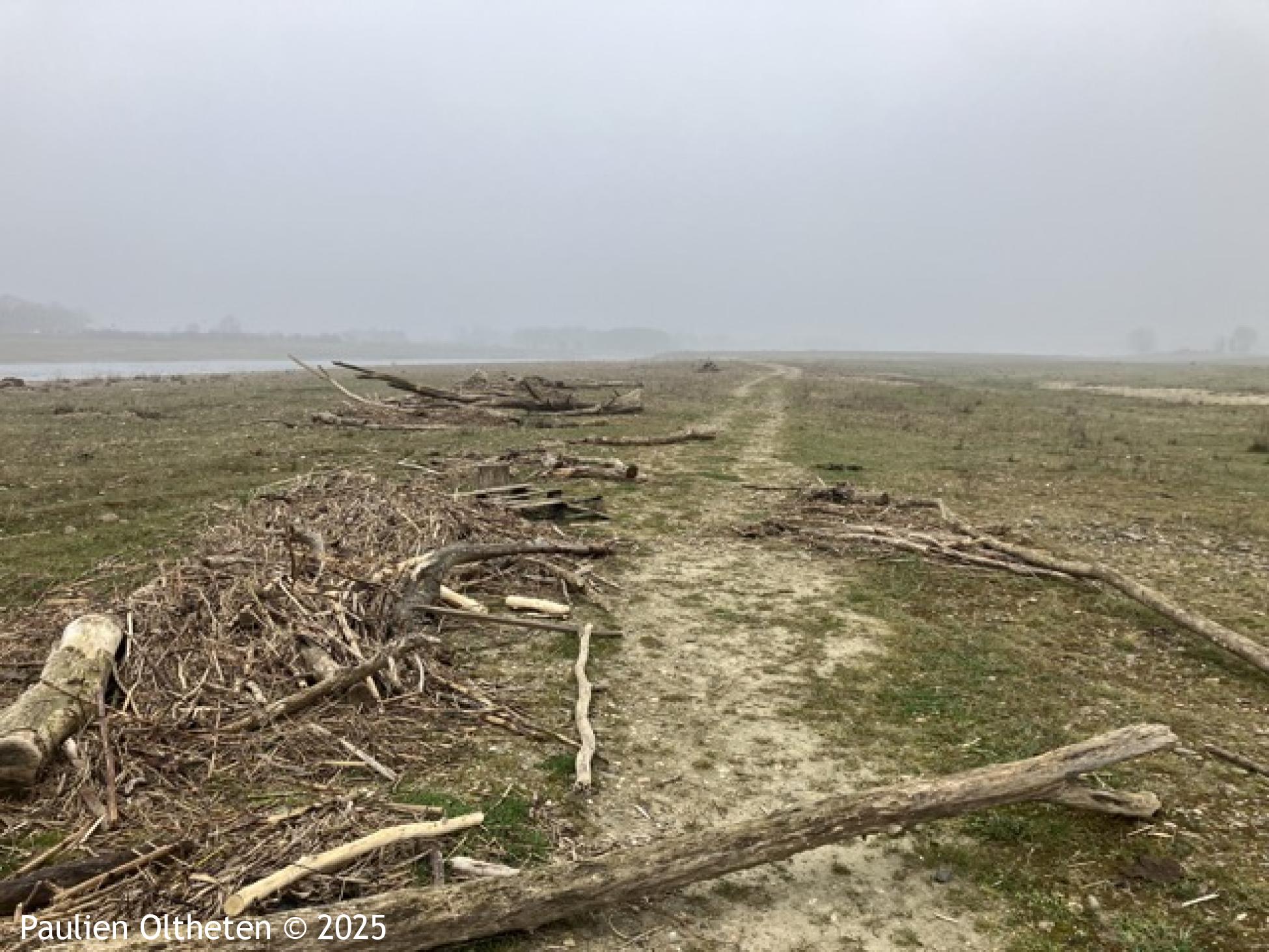 Struingebied Maasvallei Nattenhoven