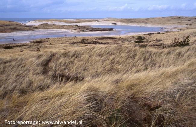 Groene Wissel Bergen NH 1