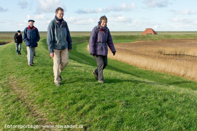 Groene Wissel Petten