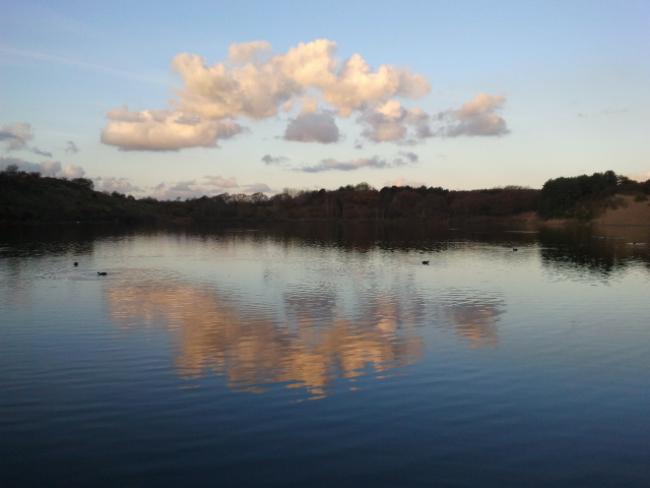 Hoogtepunten van de Kennemerduinen
