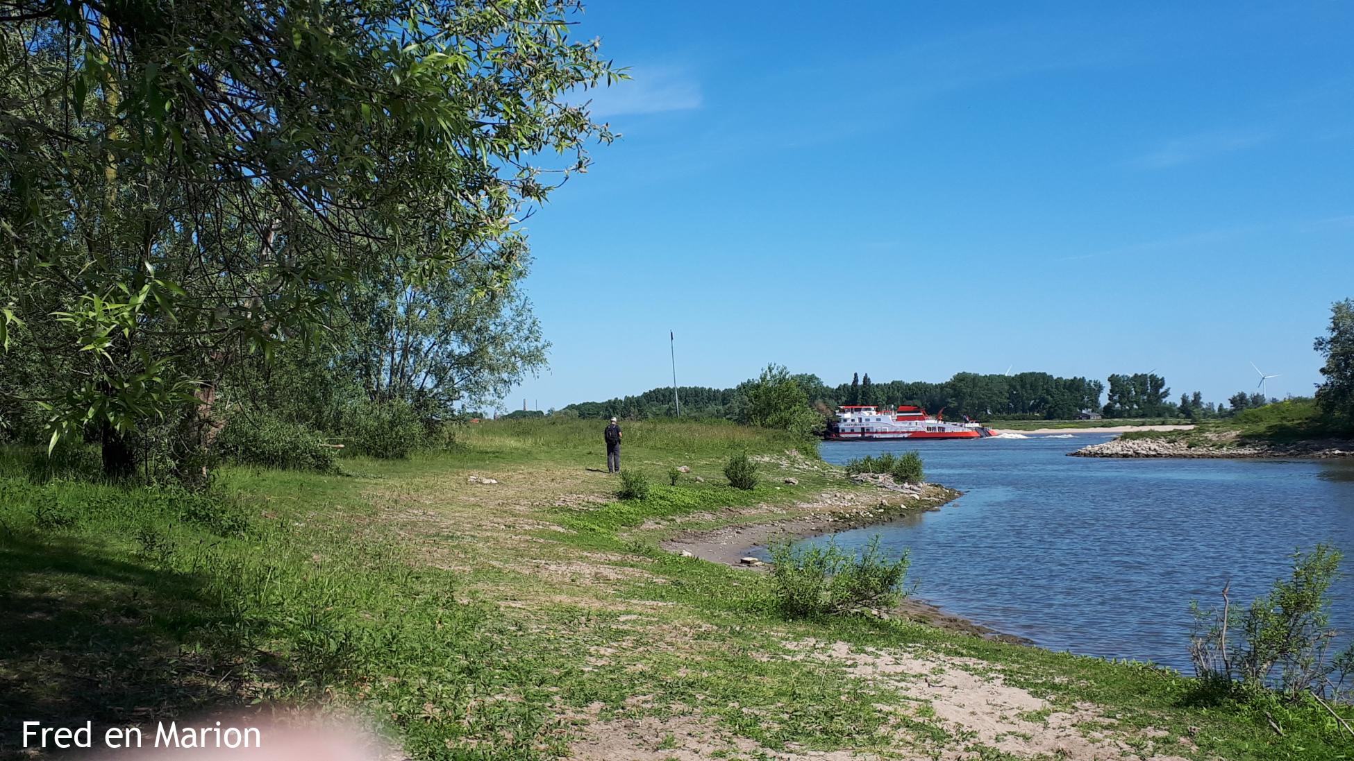 Nieuwaal