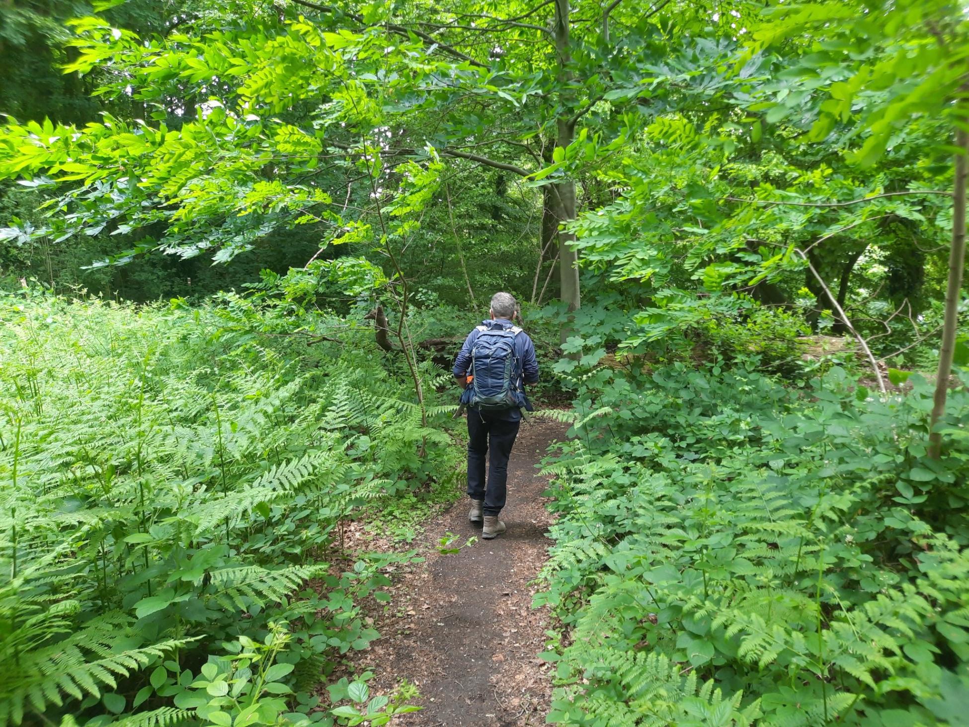Veel groen