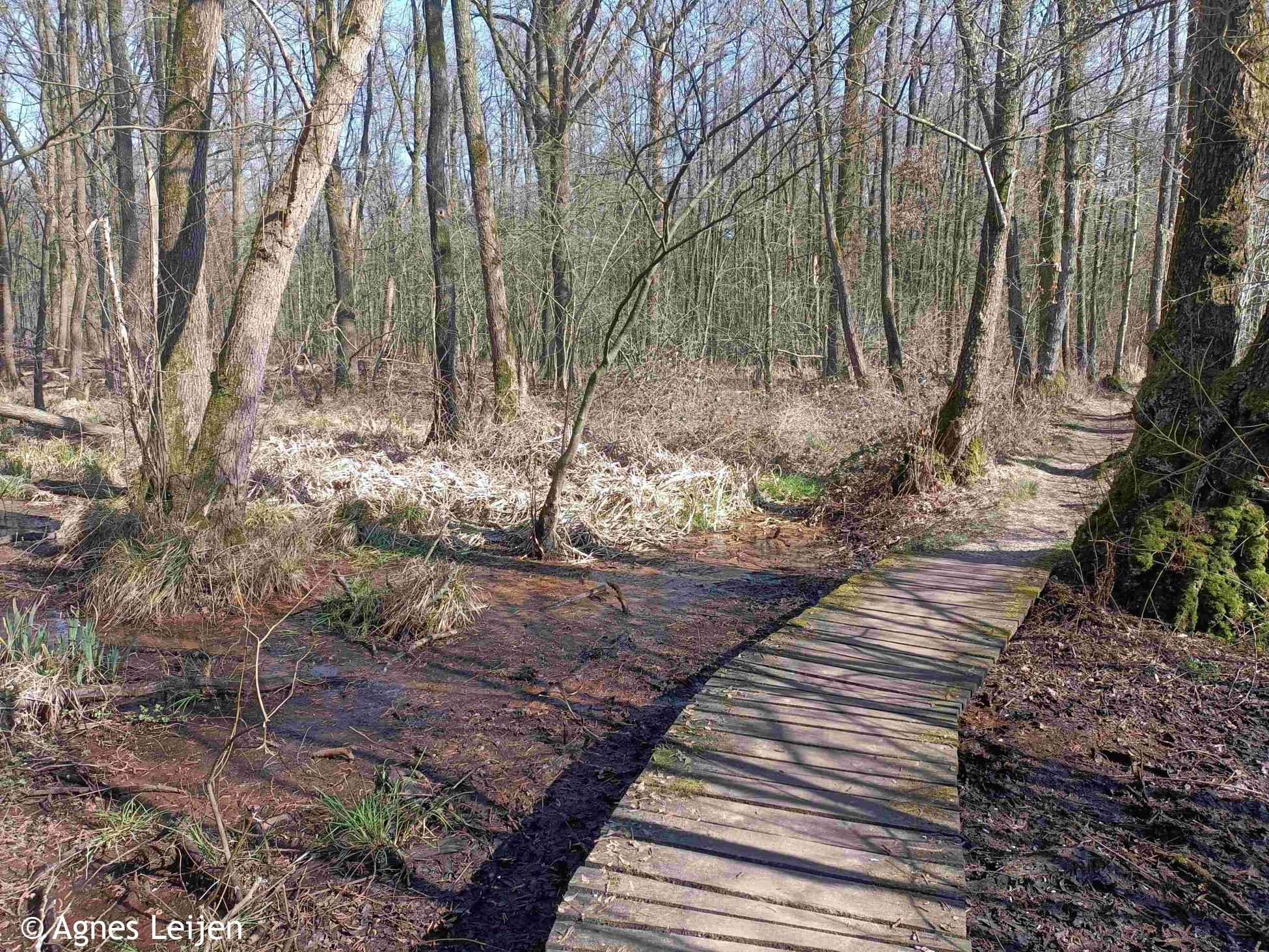 Natuurgebied het Schuitwater