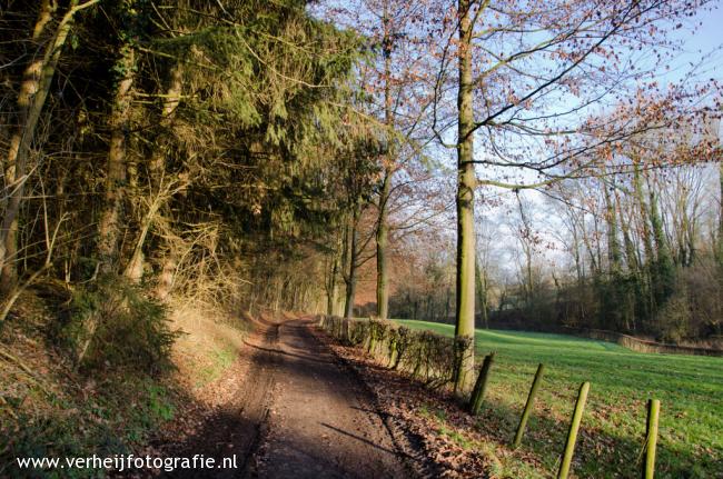 Het Hoogbos, op de grens van Belgi en Nederland