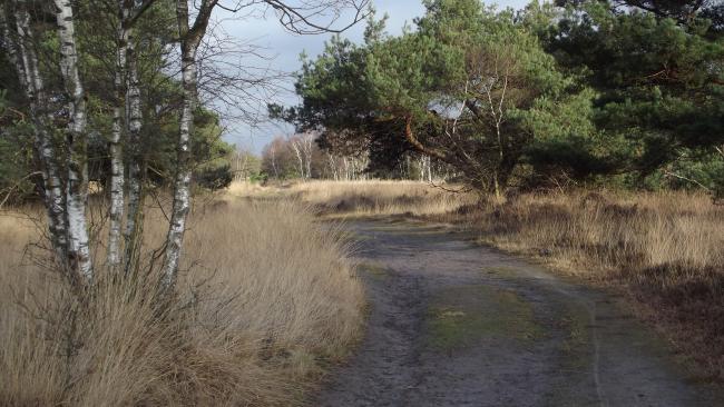 De Landschotse Heide