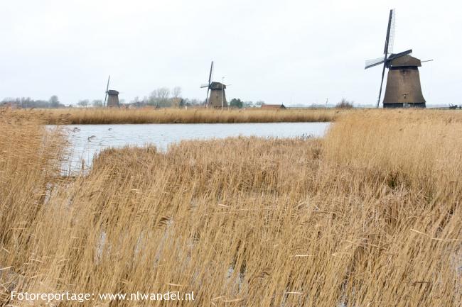 Groene Wissel Schermerhorn