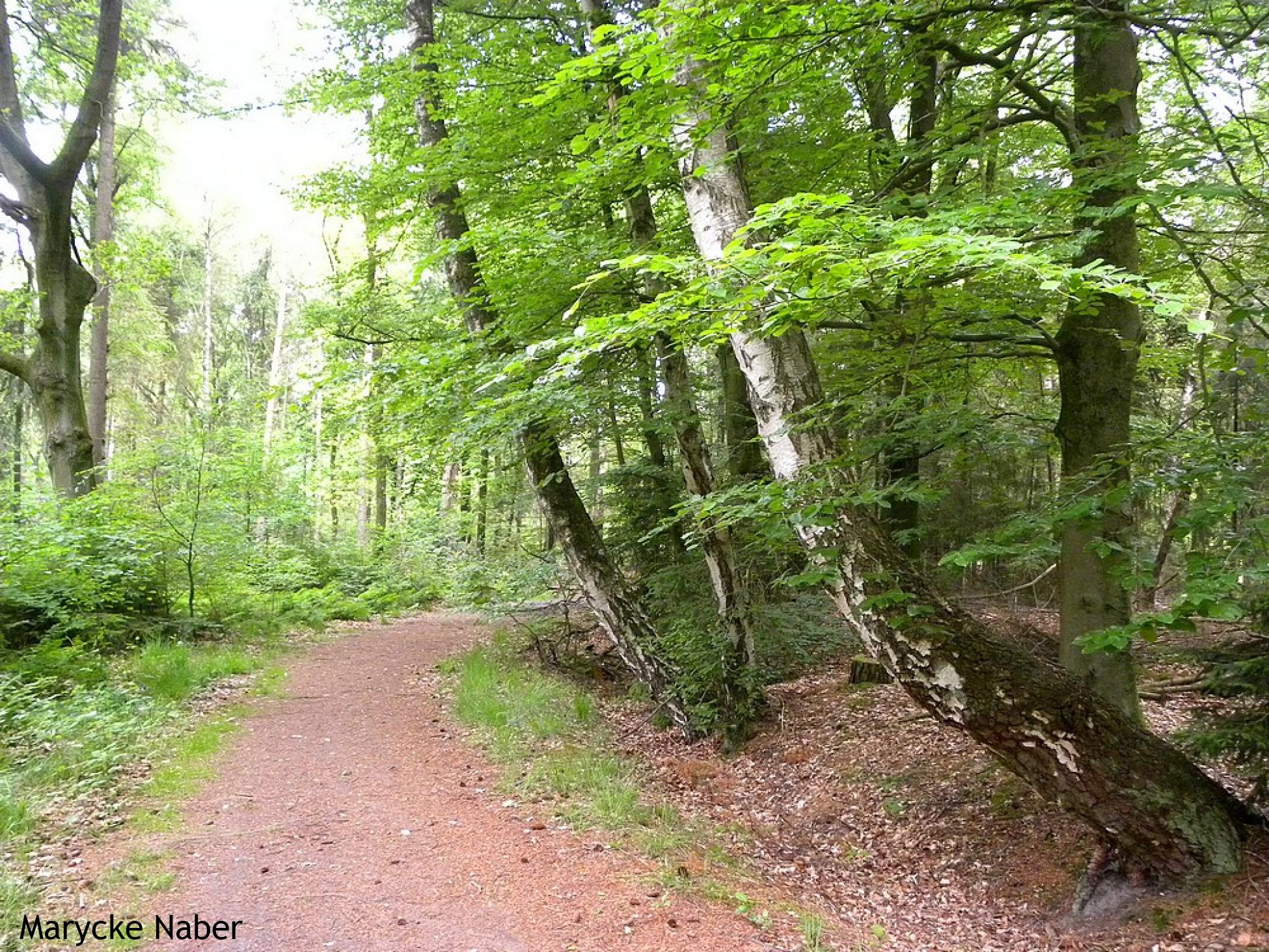 Landgoed Haverriet
