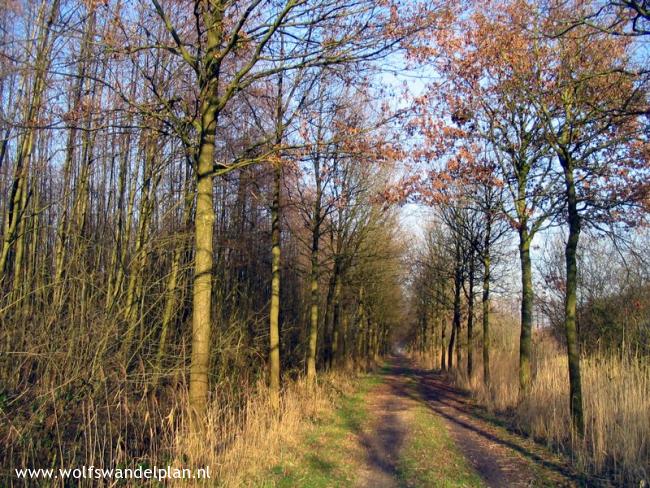 Trage Tocht Aalten Noord