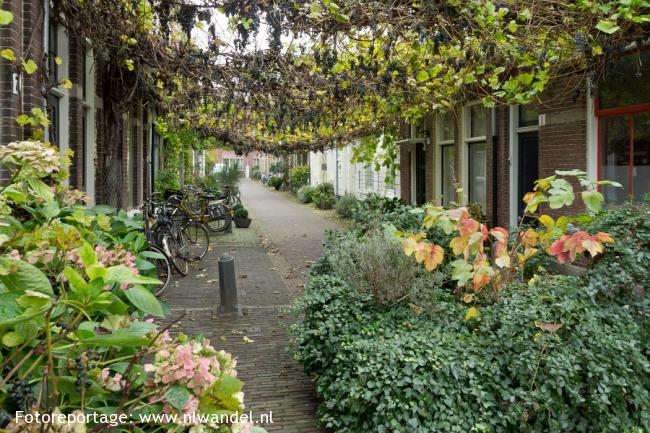 Cultureel historische wandeling door Haarlem