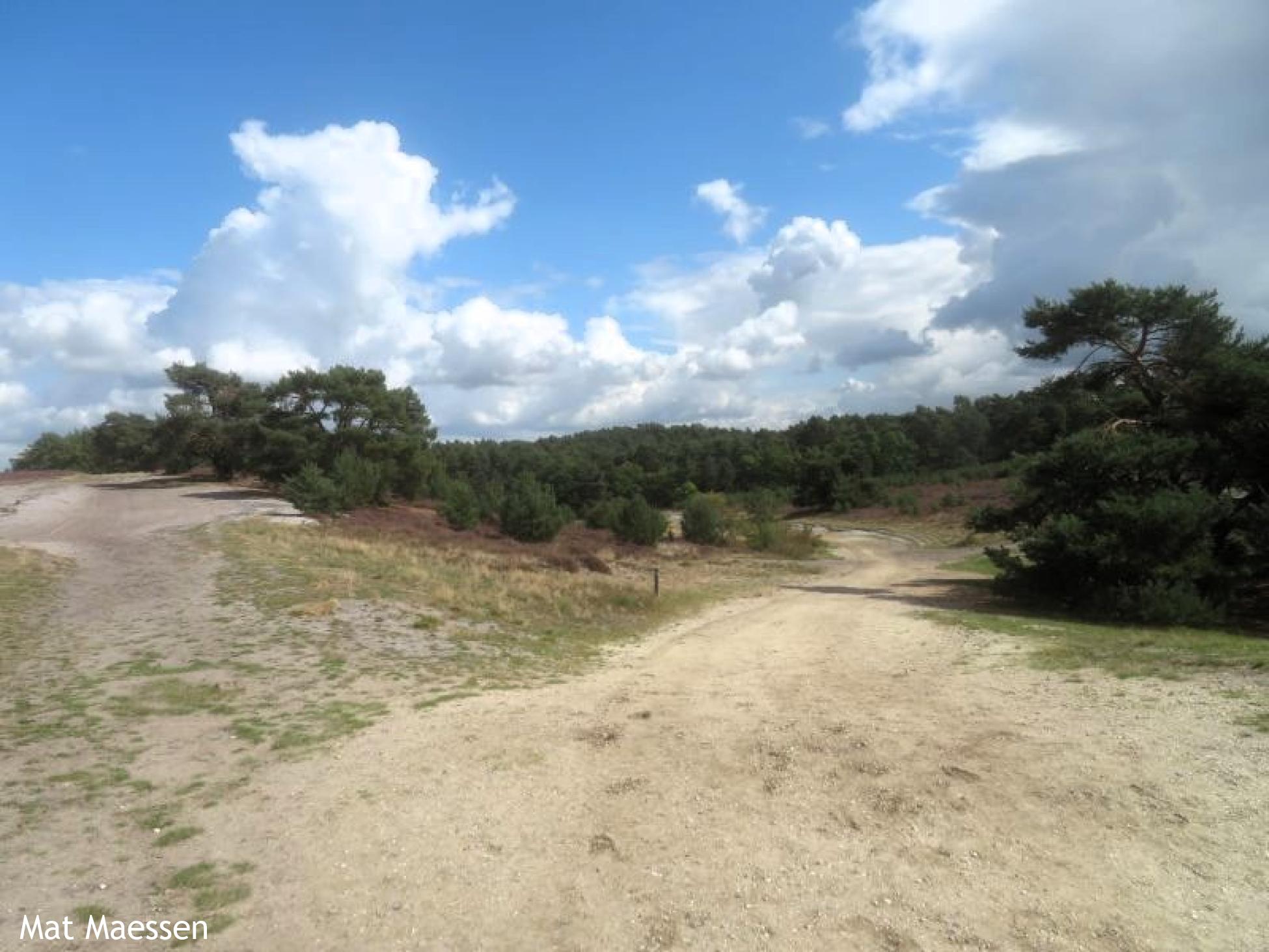 Knopenrondje Brunssummerheide 1