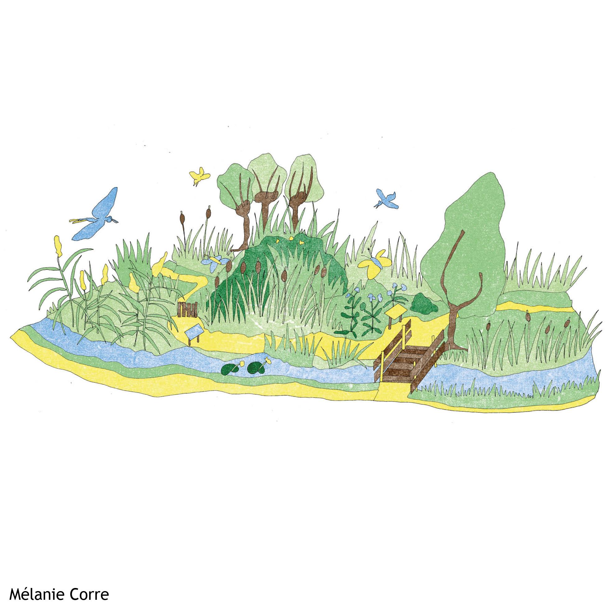 De Waternatuurtuin in het Westerpark De Waternatuurtuin in het Westerpark