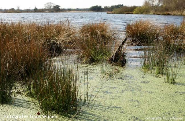 Wandeling Havelterberg