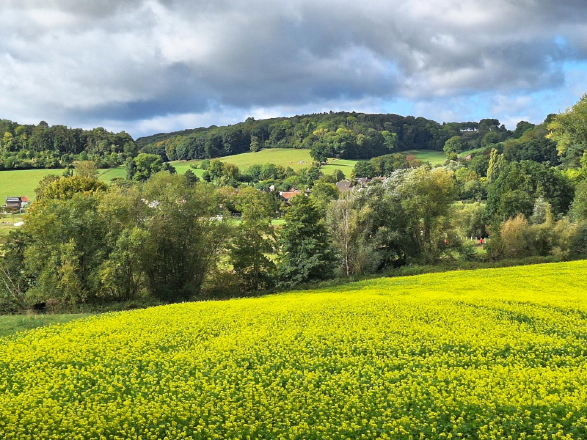 Uitzicht over het beekdal van de Geul Uitzicht over het beekdal van de Geul