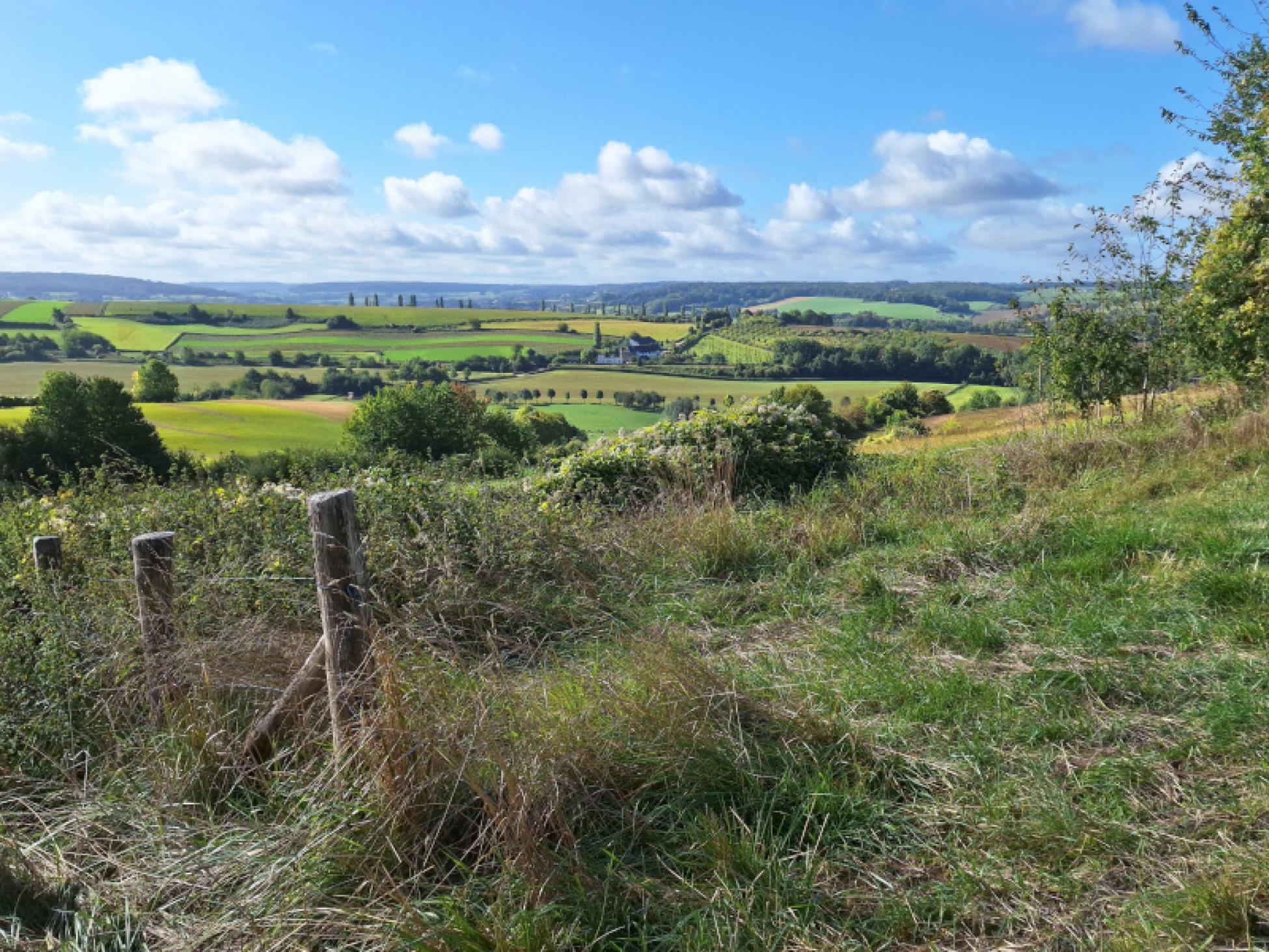 Uitzicht vanuit het Eyserbos Uitzicht vanuit het Eyserbos