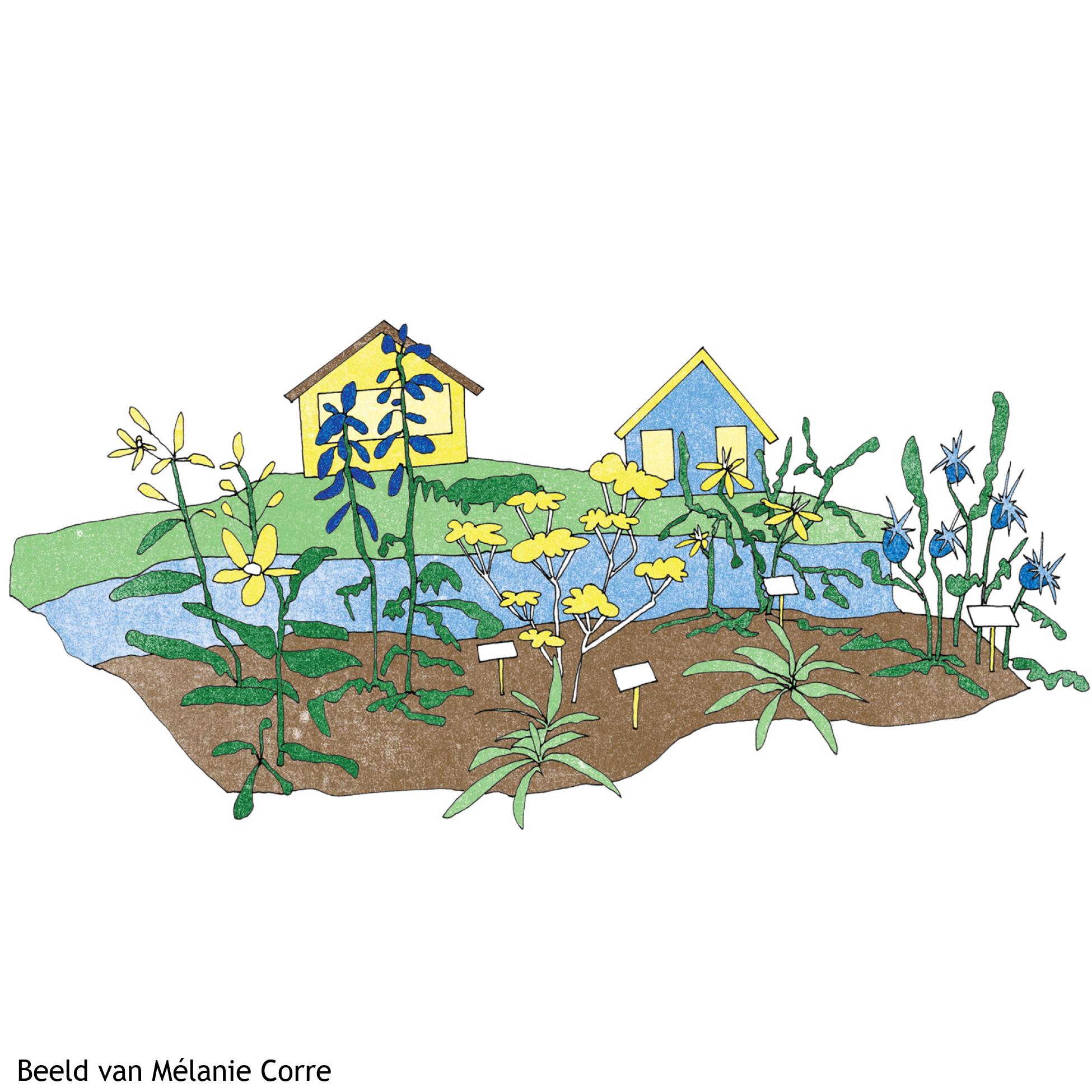 Tuinpark Nieuwe Levenskracht