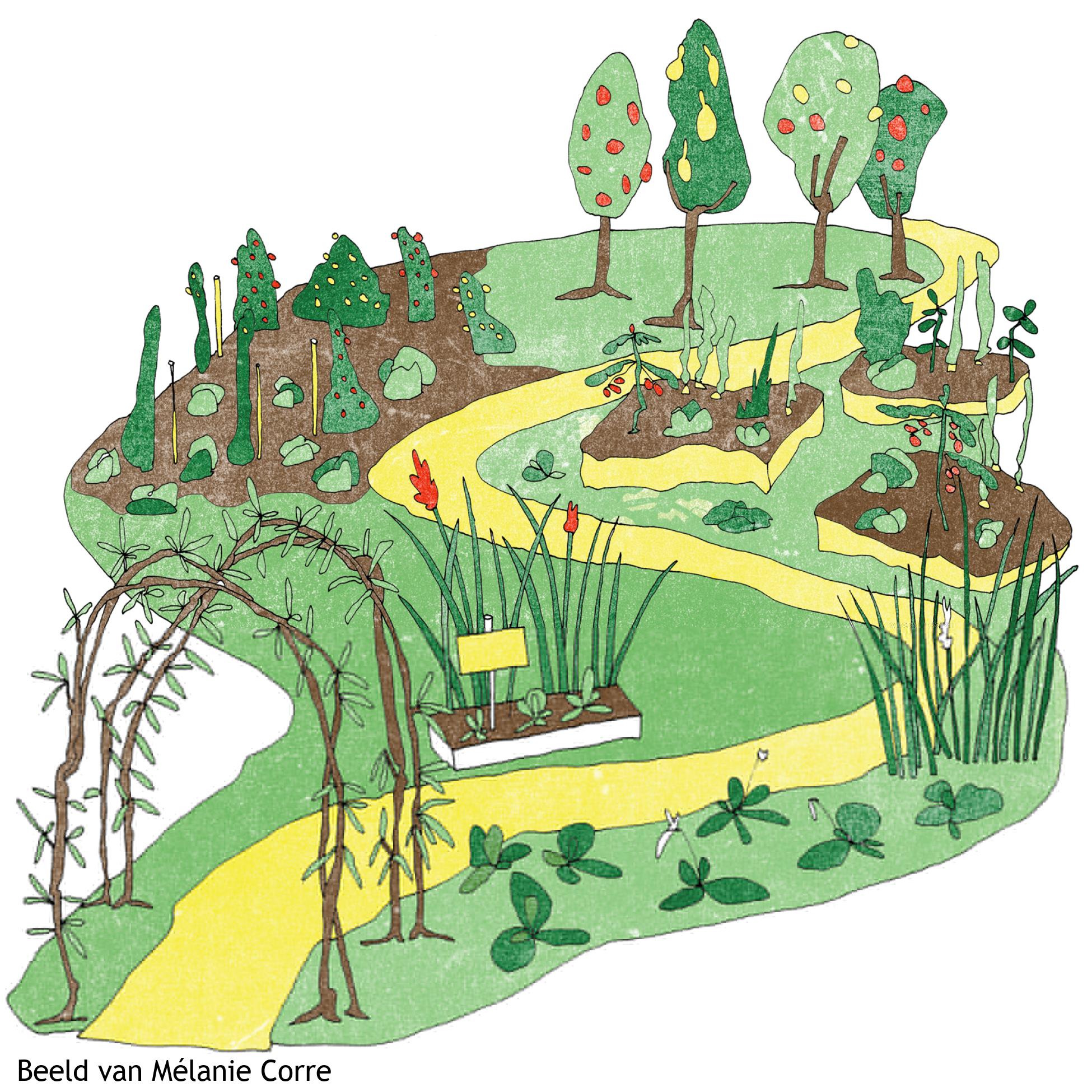 Annas Tuin en Ruigte