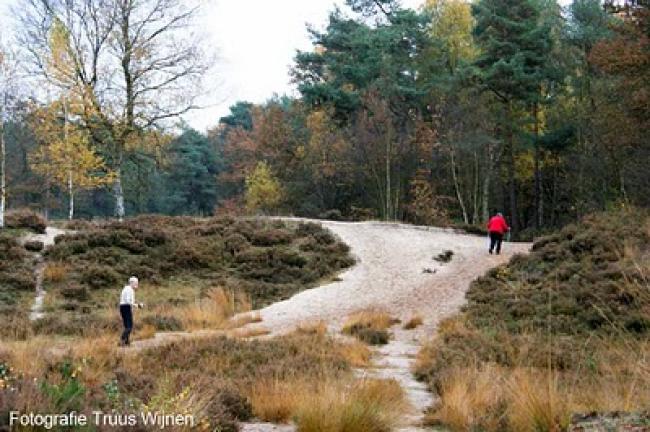 Wandeling Drakensteyn Lage Vuursche
