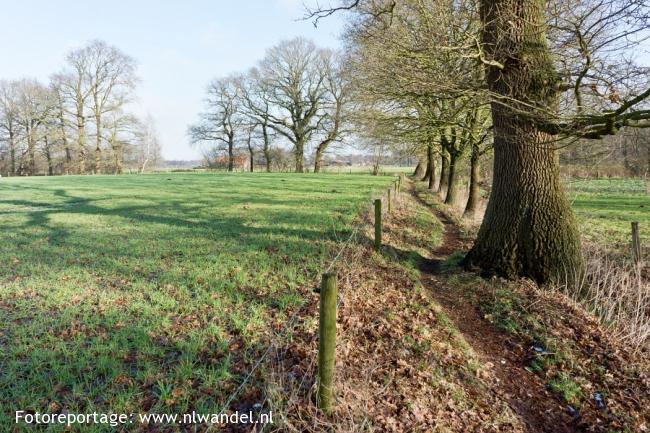 Groene Wissel Tubbergen