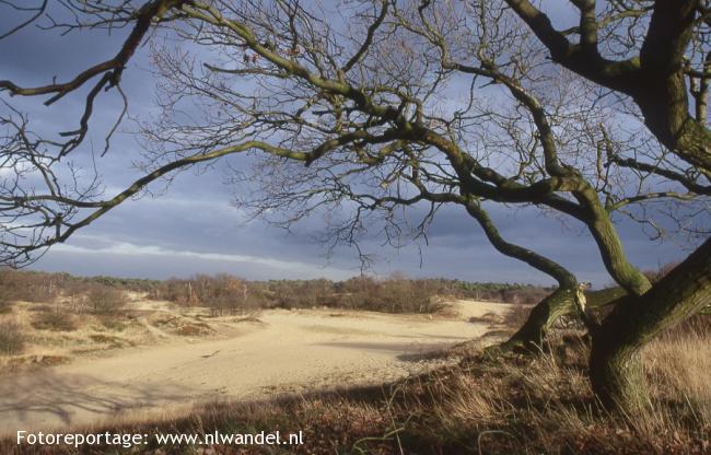 Loonse en Drunense Duinen