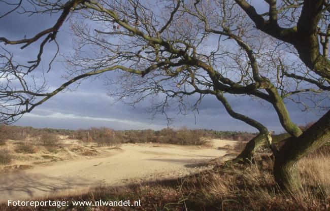 Groene Wissel Drunen