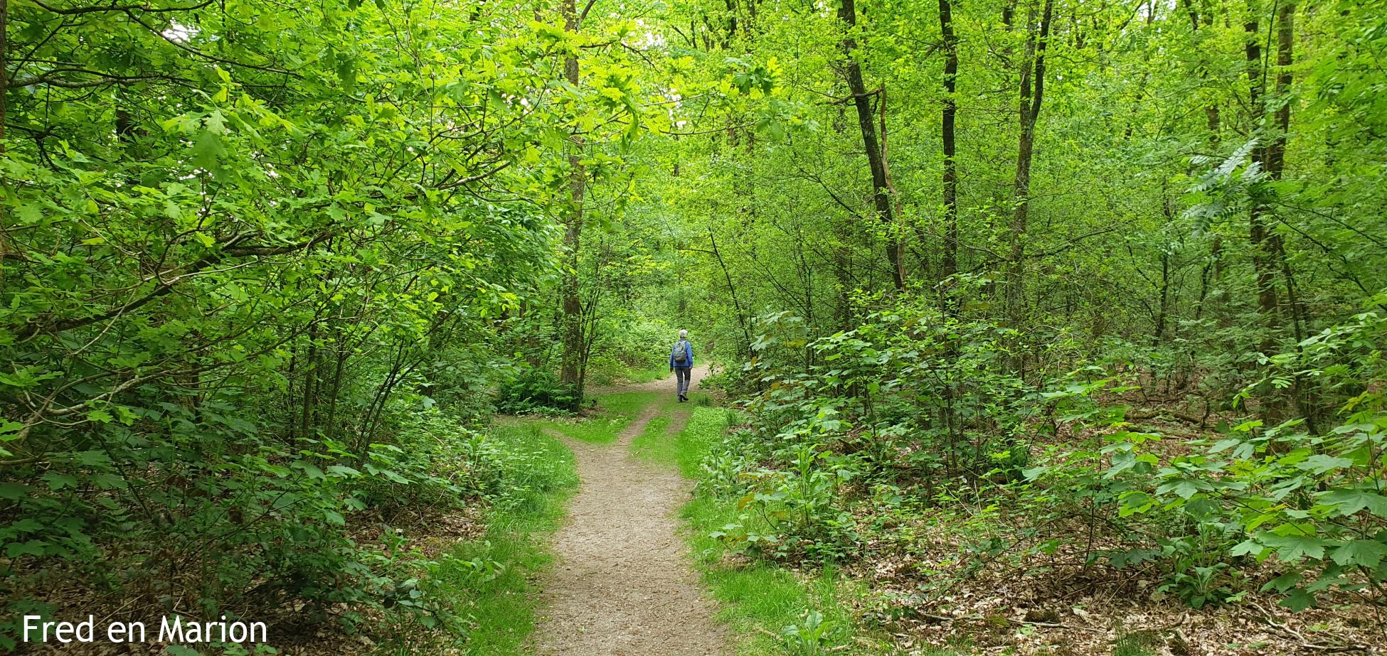 Knopenrondje Boeschoten Knopenrondje Boeschoten