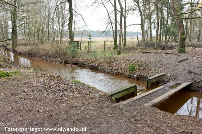 Esperloop, beekje