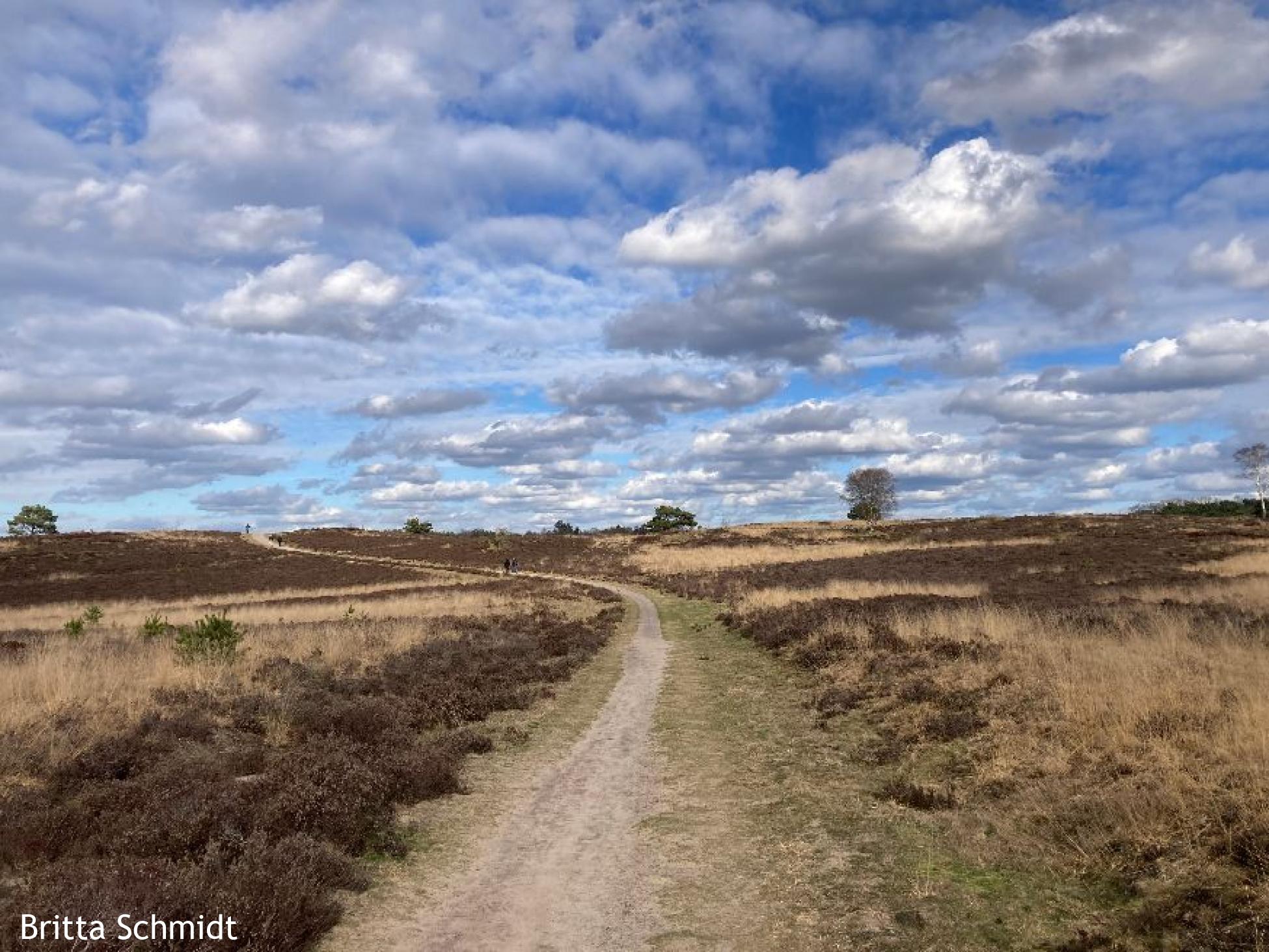 Zandpaden over de heide