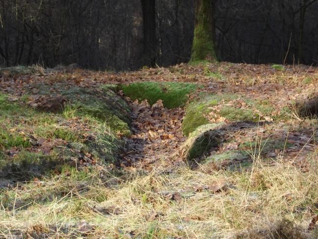 Het Schieëperkruus