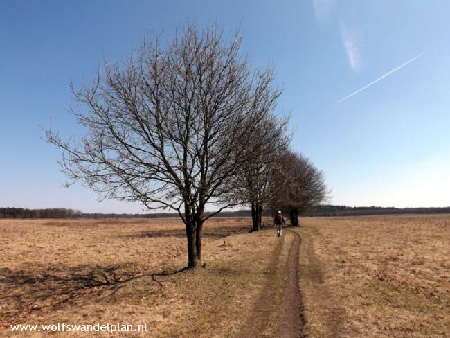 Trage Tocht Renkum