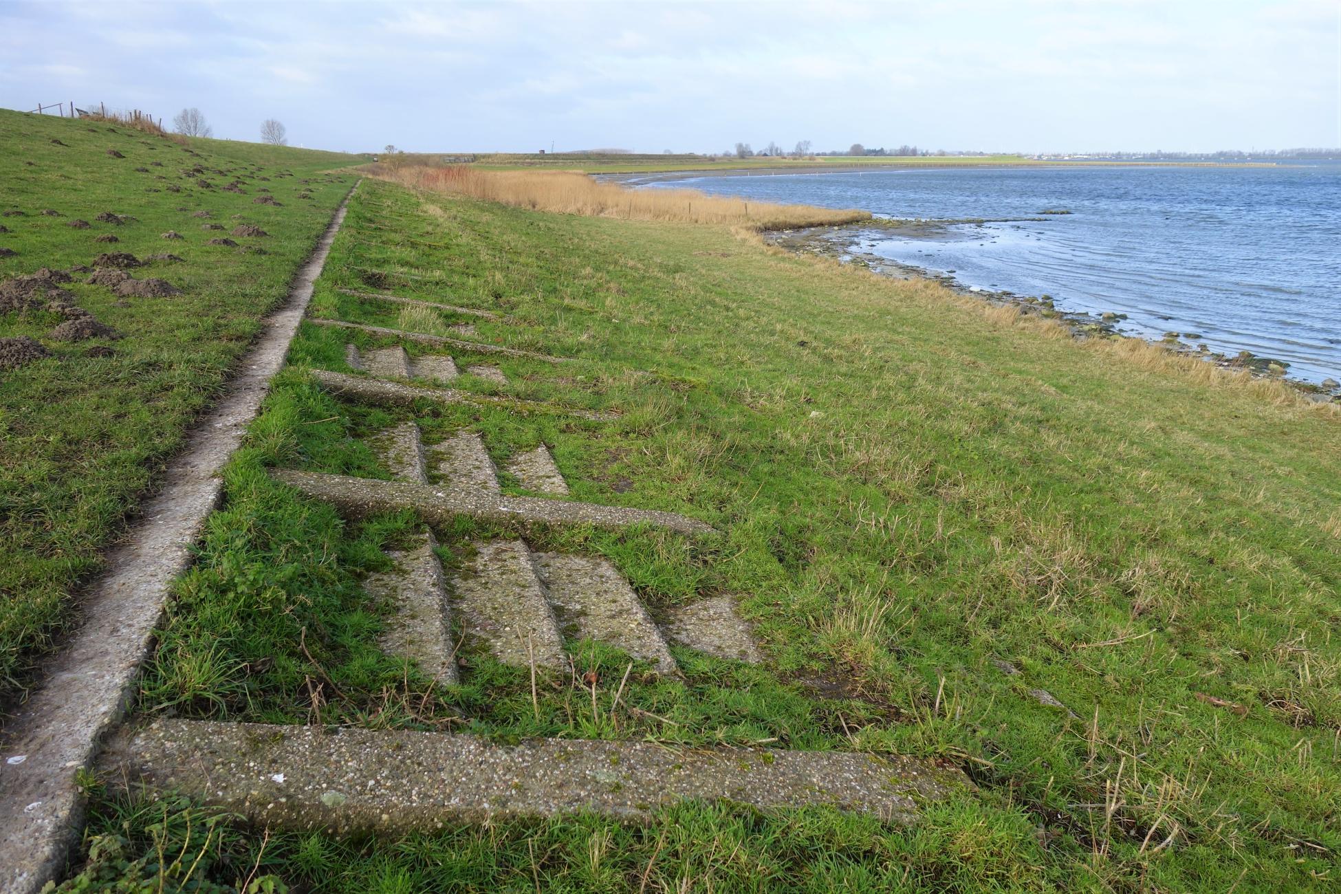 Muraltglooiing in de oever van het Veerse Meer