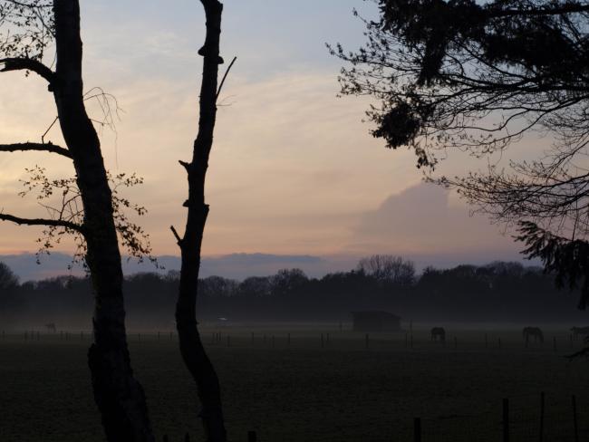strabrechtse heide