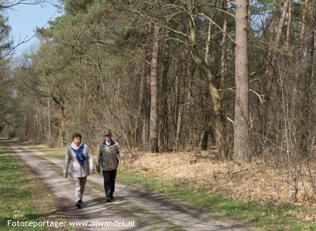 Groene Wissel Rucphen